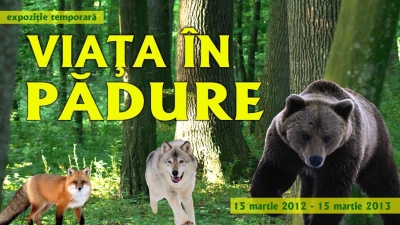 expo-viata-in-padure